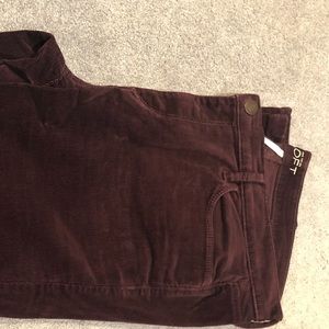 Loft ankle pants